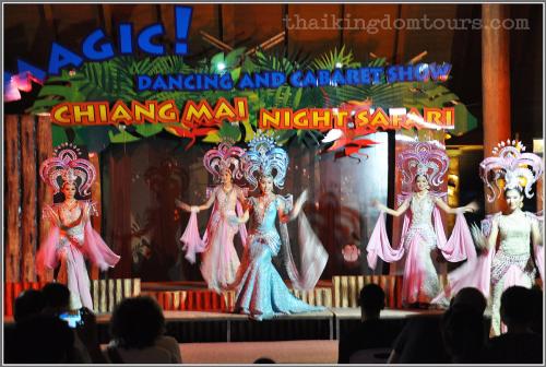 サファリダンシングショー＆キャバレーショー